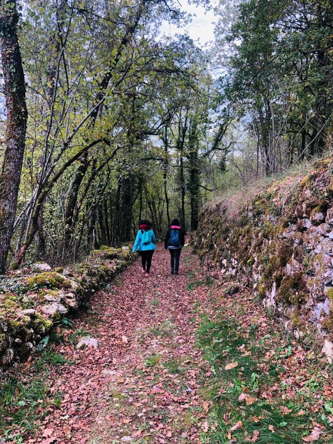 Chateau Le Mas De Montet Petit-Bersac Dış mekan fotoğraf